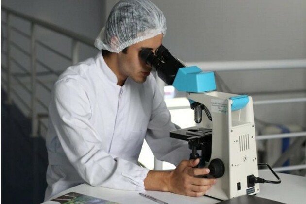 Global chemical industry growth to slow to 3% in 2025: Report