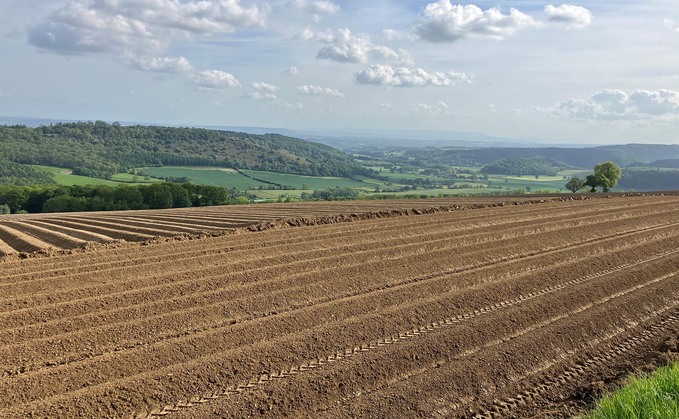 Authorisation has been given to a new ppp which will help potatoes and other crops