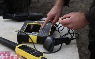 £3 Million Secured to Continue Welsh Sheep Genetics Programme