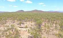 Sunshine shines light on Liontown gold