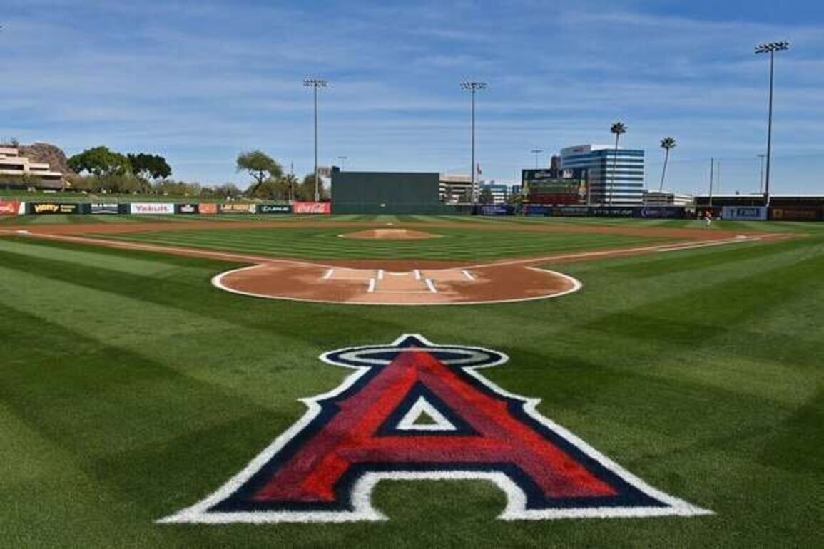 Angels promote front-office veteran Molly Jolly to team president