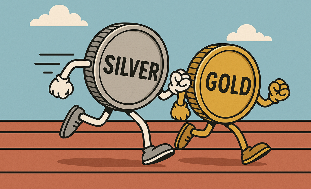 Silver bull starts to trot