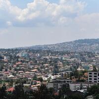 New export protocol gives Rwandan avocados access to Chinese market