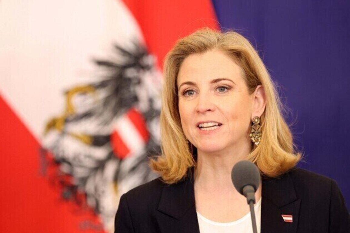 Austria unveils strategy to deepen partnership with Africa