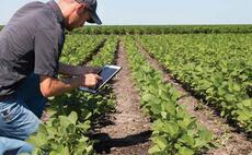 Regional agronomy: Disease pressure meets weather stress