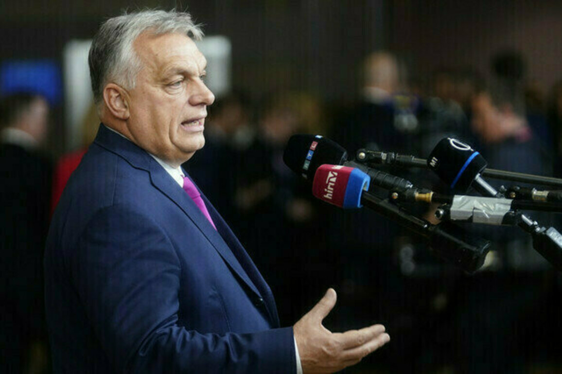 Surging energy prices could kill EU economy  Orban