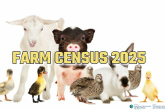 Take Part - 2025 Farm Census Now Open