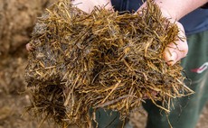 DAIRY SPECIAL: Searching for improved accuracy of silage analysis