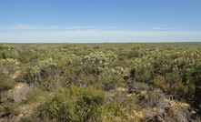  The site of the planned Arrowsmith developments