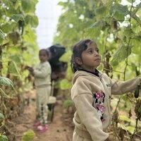 TBHF builds livelihoods while protecting planet