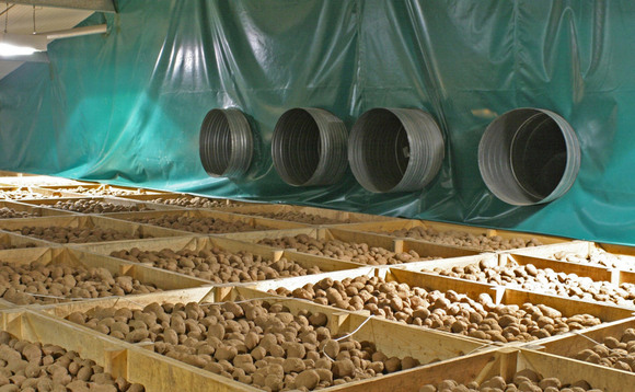 Scottish potato grower reduces energy consumption by 25 per cent