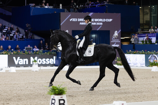 (SP)THE NETHERLANDS-AMSTERDAM-EQUESTRIAN