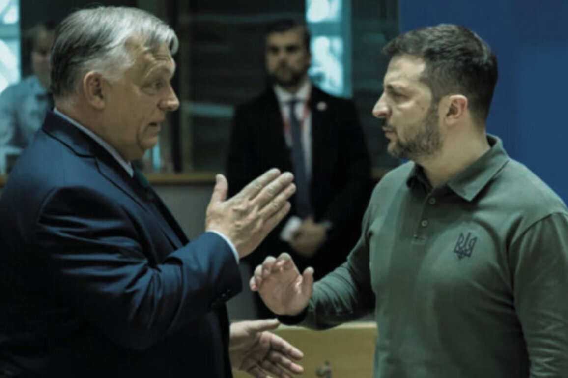 'Zelensky Crossed a Line!' - Orban Slams Ukraine, Hungary Refuses Aid