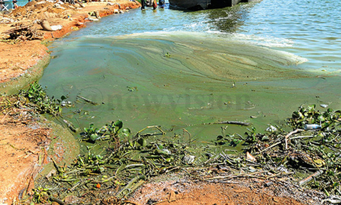 'Water pollution can reduce economic growth' 'Water pollution can reduce economic growth'
