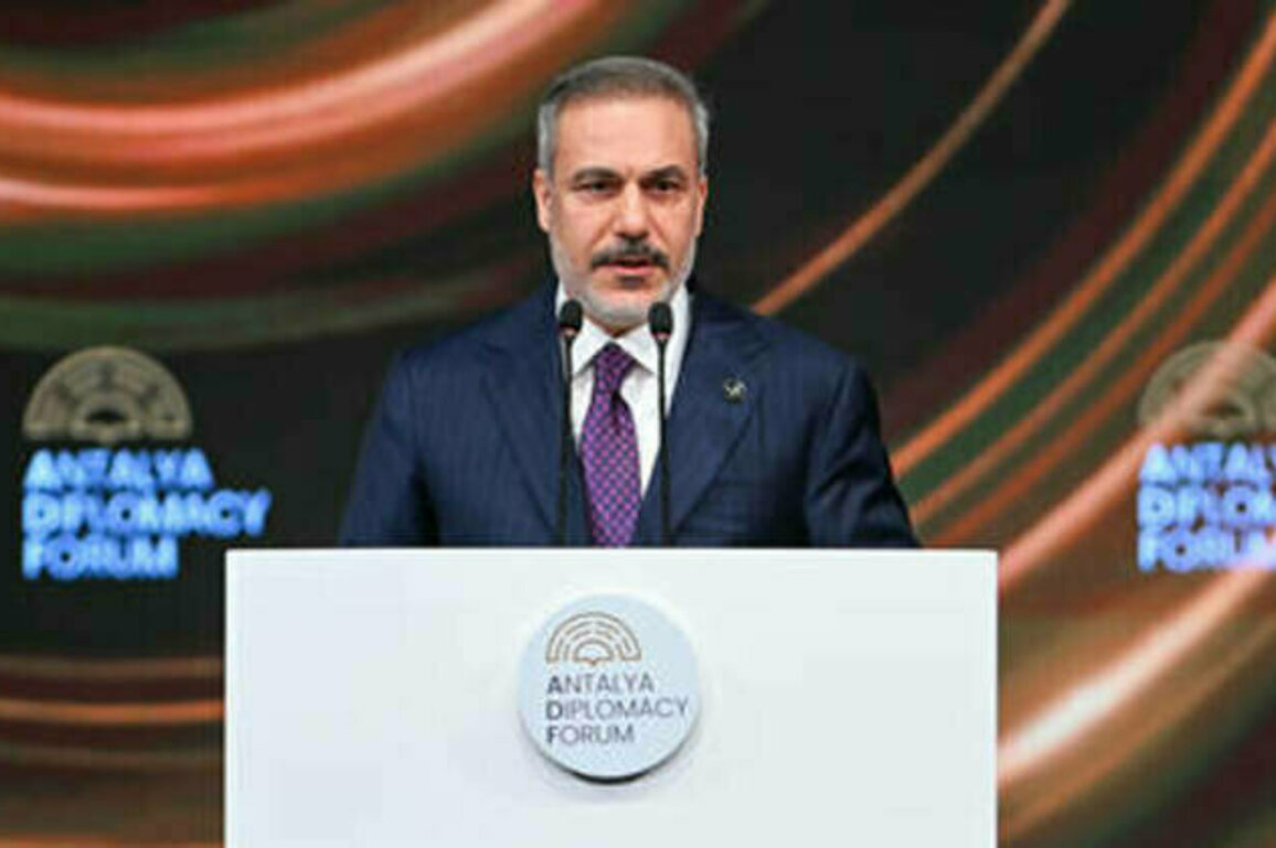 EU selective with condemnation of political persecution - Turkish foreign minister