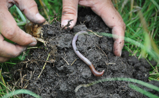 BCarbon issues UK's first soil-based international carbon credits