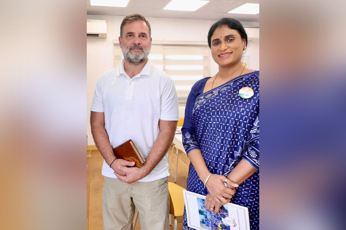 APCC chief YS Sharmila meets Rahul Gandhi, discusses strengthening Congress in Andhra Pradesh