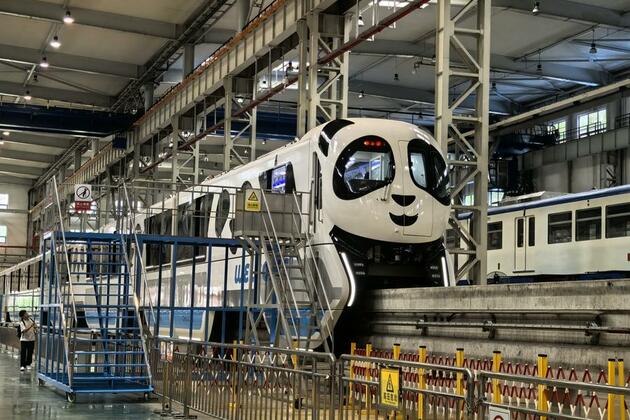 "8D magic city" unveils panda-themed monorail train in SW China