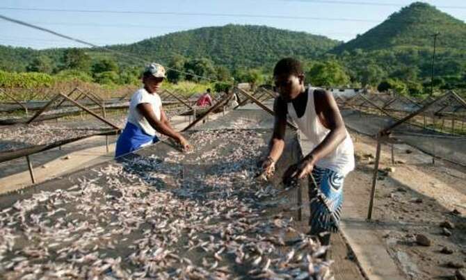 Hunger, power cuts in Zimbabwe, Zambia as lake level hits record low Hunger, power cuts in Zimbabwe, Zambia as lake level hits record low