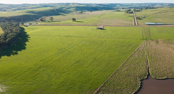 The value of Australian agriculture production is expected to fall in 2026-27 from last season's record.