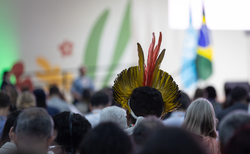 COP30: Scores of businesses join growing calls for fossil fuel phase-out roadmap