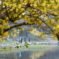 CHINA-BEIJING-YUANMINGYUAN PARK-SPRING-TOURISM (CN)