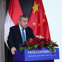 Interview: Egypt-China cooperation a "win-win" for shared growth, says Egypt's ex-PM