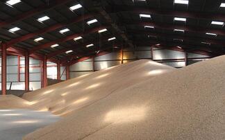 UK human and industrial cereal demand to hit 20-year low