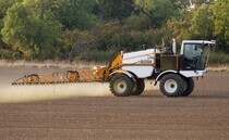 How a sugar beet staple herbicide evolved into cost-effective wheat option
