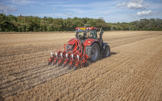 Trail results show beet establishment benefits with strip-tillage