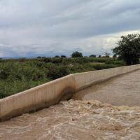 (Hello Africa) Chinese-built irrigation scheme empowers Tanzanian farmers, reflects World Water Day's call for sustainability
