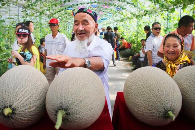 Chinese melon city taps science to cultivate quality, sweetness