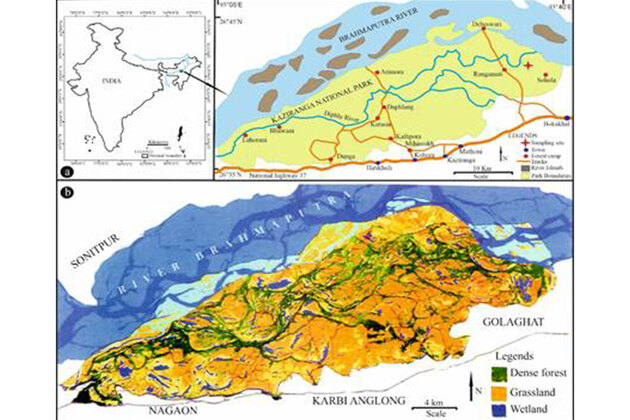 Researchers trace Kaziranga's evolution into last great home of one-horned rhino