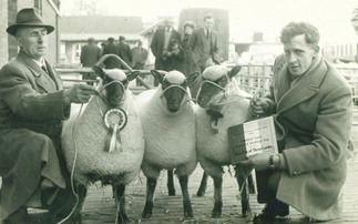 PICTURE GALLERY: Vintage farming photos through the ages