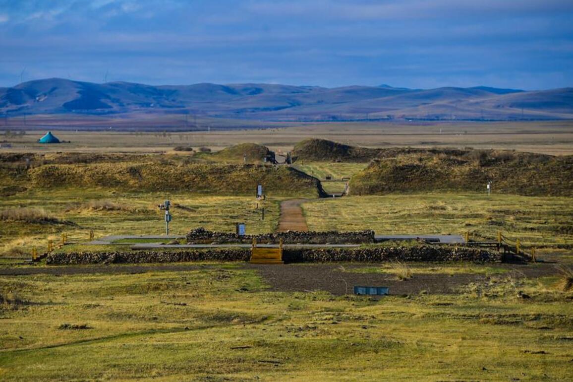 Modern twist boosts traditional Mongolian dairy products