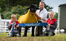 Foxhill Princess Carina takes the crown at Royal Cornwall  