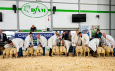 Entries up at North East Live