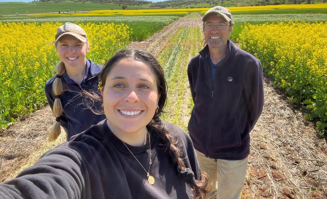 DPIRD research scientist Stephanie Boyce, technical officer Lea Obadia and senior research scientist Martin Harries at a Northampton farming systems trial. 