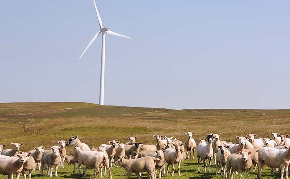 Energising Scotland's renewables market