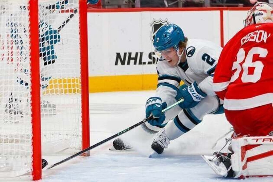 Panthers make rare January home appearance as Sharks invade