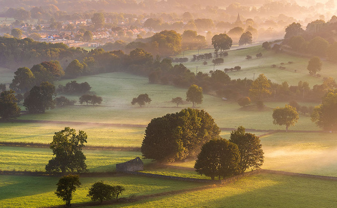 ABP invests in beef and lamb sustainability programme