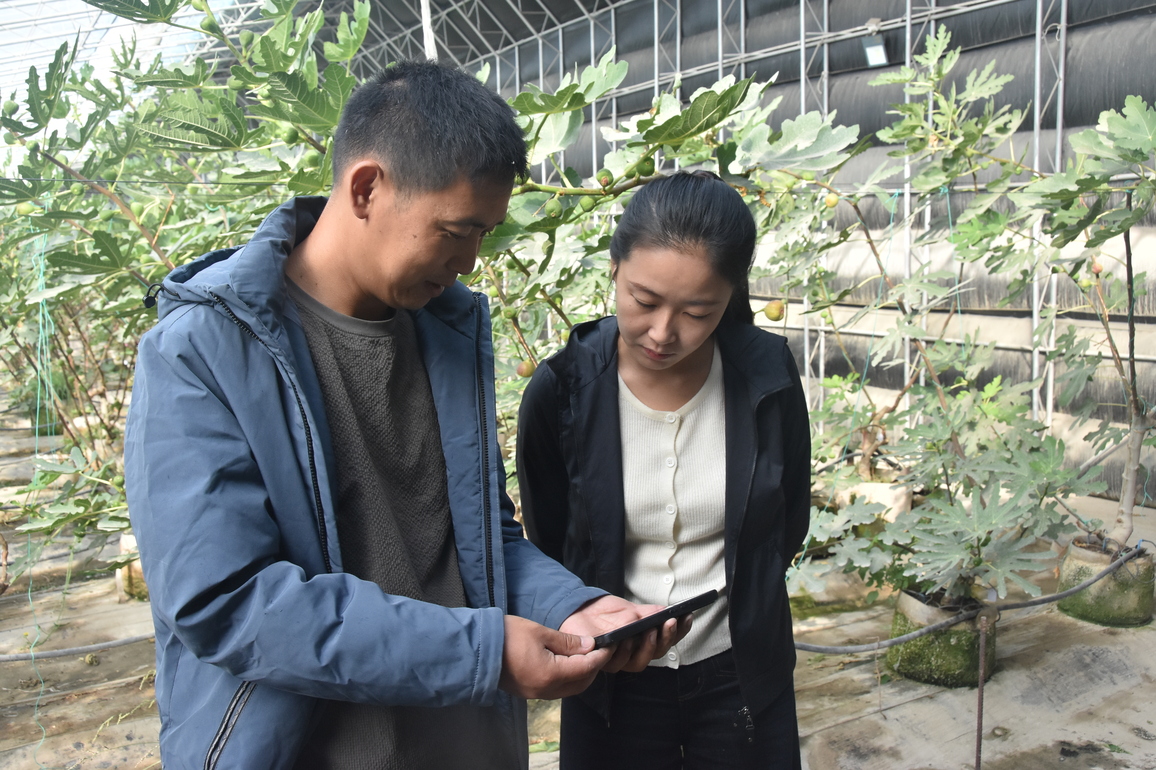 CHINA-XINJIANG-YOUNG GENERATION-AGRICULTURE (CN)