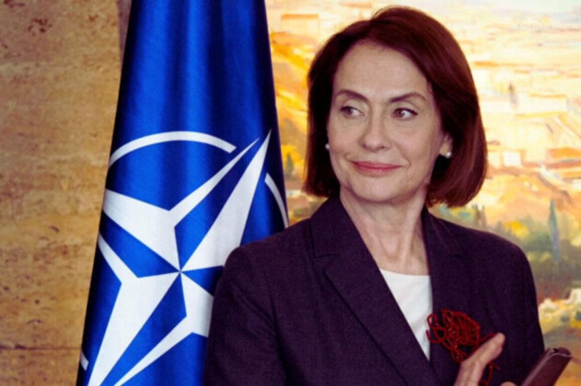 Bulgaria Ready for Bigger Partnership with the US, Says FM Neynski