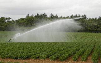 Farmers urged to monitor water use following driest start to spring since 1956