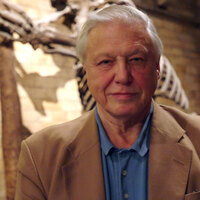 David Attenborough marks 100th birthday with tributes, new species named in his honour
