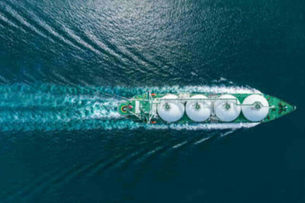 EU names member states still importing Russian gas