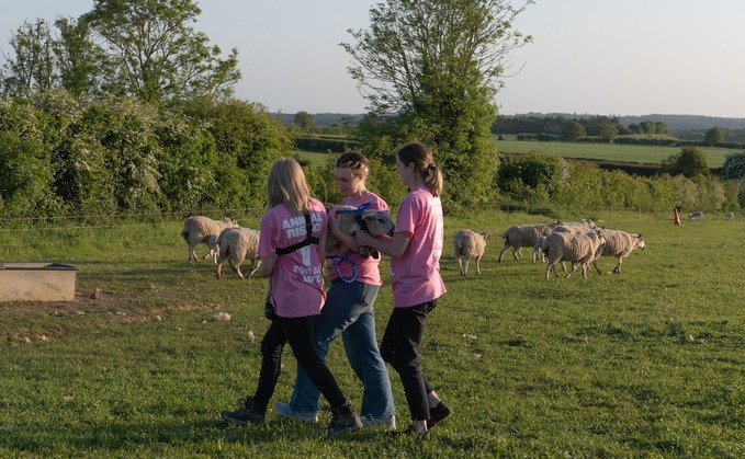 Animal Rising stole three lambs from a farm in Sandringham
