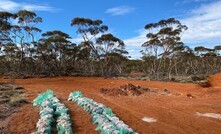 Geraghty's Forrestania does yet another deal