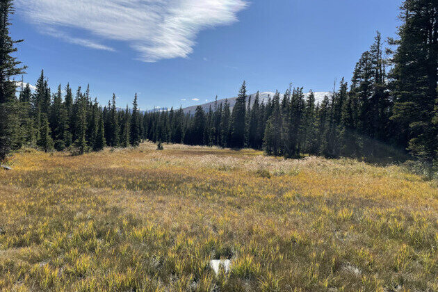 Colorado's subalpine wetlands may be producing a toxic form of mercury - that's a concern for downstream water supplies