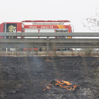 ISRAEL-LOD-WILDFIRE